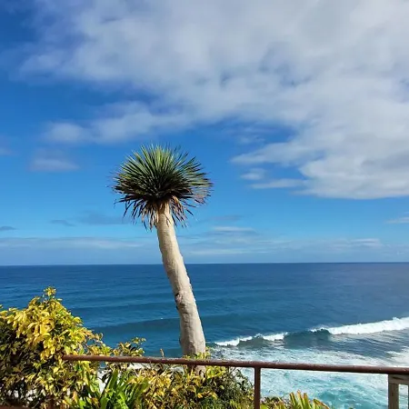 Apartment Picasso 1 New Paraiso Playa Relax-surf-trail-photo